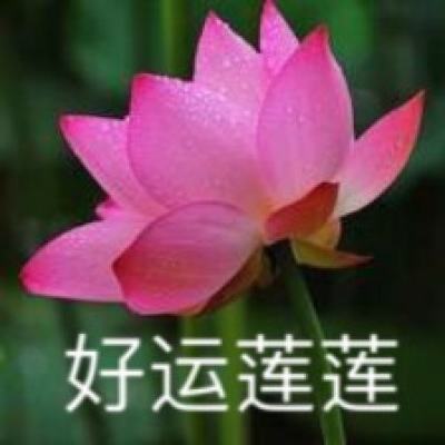 北京：“画如江山 妙笔丹青”何镇强艺术精品展开幕